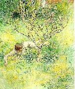 naken flicka under prunusbusken
